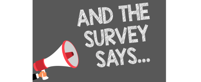 Linnovate Partners Customer Satisfaction Survey 2019